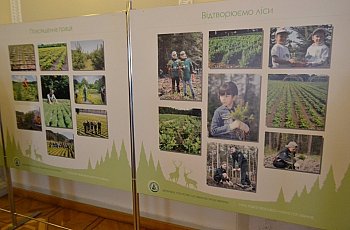 За сприяння Комітету у Верховній Раді України 10 вересня 2019 року розпочалася фотовиставка «Лісівники на службі лісу та суспільству», присвячена професійному святу – Дню працівника лісу
